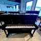 Yamaha YU118DNS