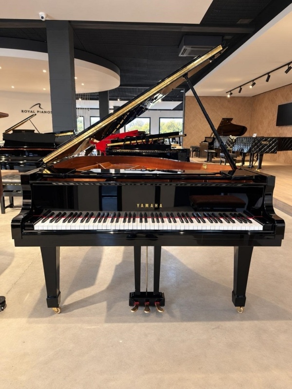Yamaha C2